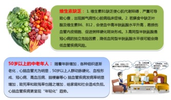 华以纳豆银杏片 保健食品oem代加工 厂家招商